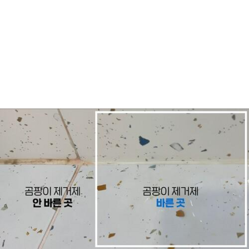 공간일기 바르는 곰팡이제거제 500g, 3개