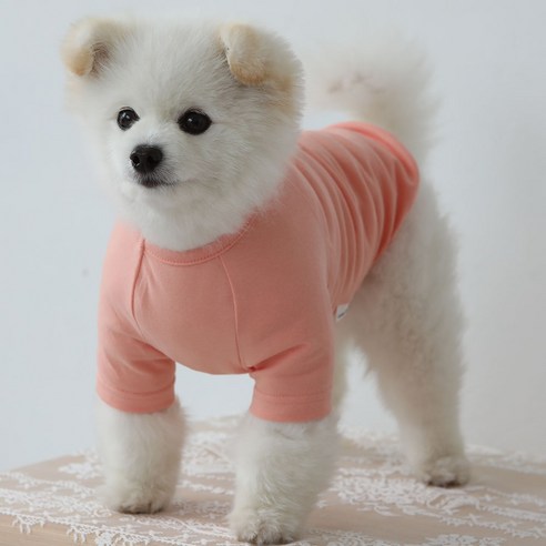 럭키페터 무지 강아지 옷 소형견 대형견 티셔츠 베들링턴테리어옷 리트리버옷, 피치
