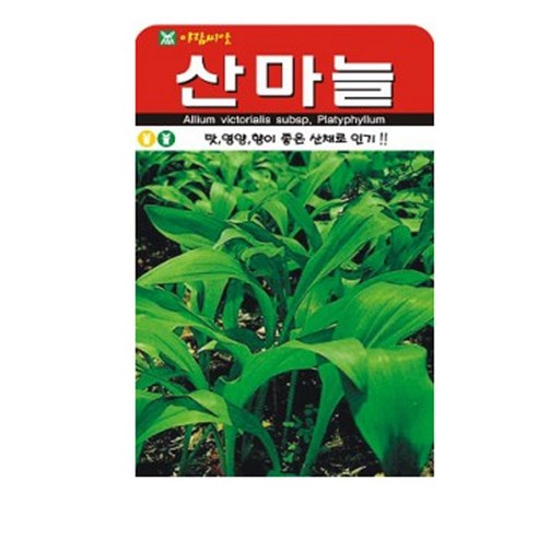 산마늘(명이나물) 씨앗 50립, 1개