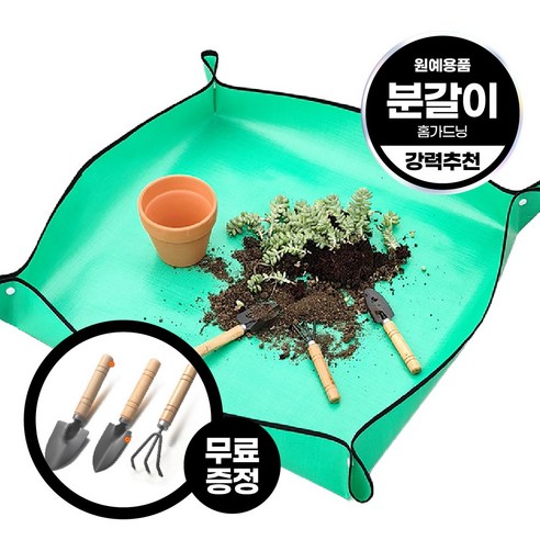 실내에서도 깔끔하게! 분갈이 작업의 필수 아이템 - 1