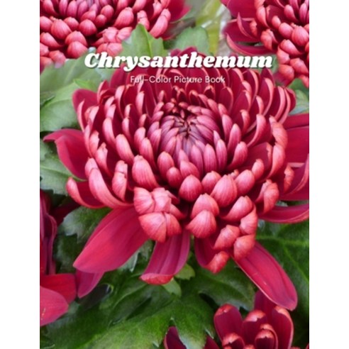 Chrysanthemum Full-Color Picture Book: Flower Picture Book for Children Seniors and Alzheimer''s Pat... Paperback, Independently Published, English, 9798721105937