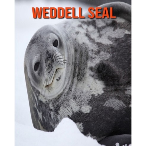 Weddell Seal: Amazing Facts about Weddell Seal Paperback, Independently Published, English, 9798552022922