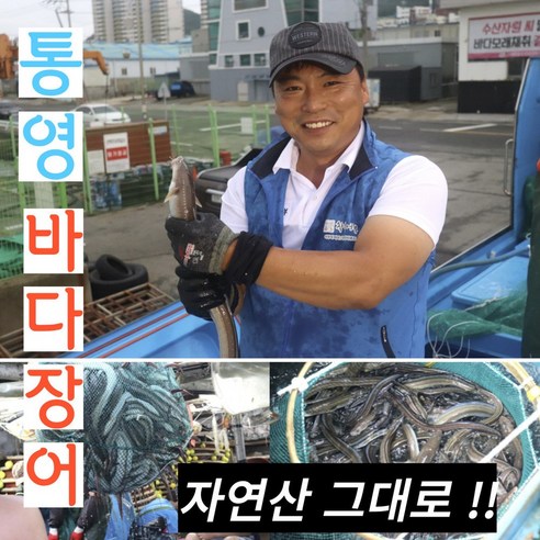 통영 산지직송 자연산 바다장어 특대 최상품 손질 완료 활력 바다장어 비법 소스 포함 1kg 2kg 3kg, 1개, 3kg(특대 3-9미) 비법 소스 6개 14 100% 자연산 손질 바다 장어 국내산 맛 보장 통영 산지직송, 1개