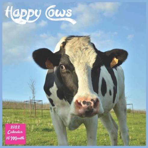 (영문도서) Happy Cows 2022 Calendar: Official Cows and Bulls Animal 2022 Calendar 16 Month Square Calendar Paperback, Independently Published, English, 9798516407901