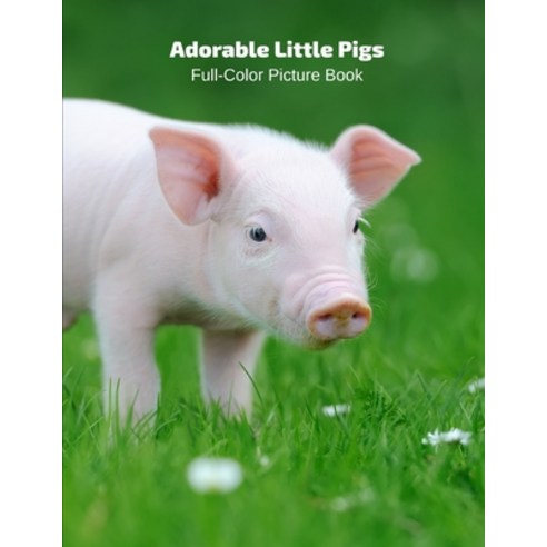 Adorable Little Pigs Full-Color Picture Book: Animals Photography Book Paperback, Independently Published