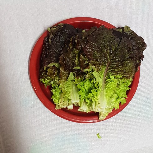 국내산 청상추4kg 2kg 적상추4kg 2kg 포찹 4kg 2kg 백산상회, 1개, 청상추