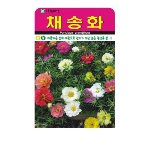 채송화 씨앗, 1개