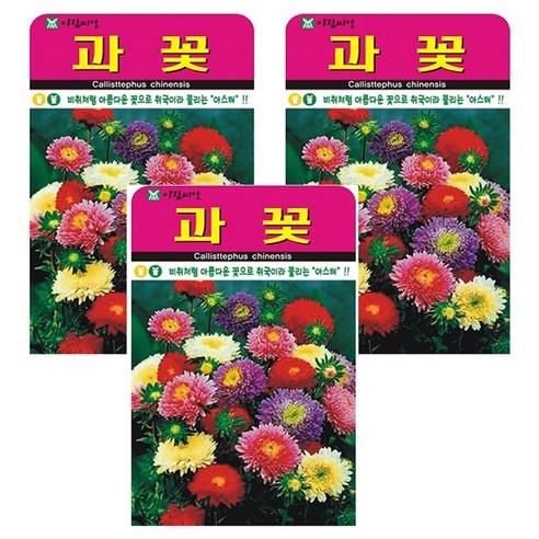 과꽃 씨앗 3개입 다년생 노지월동 꽃씨