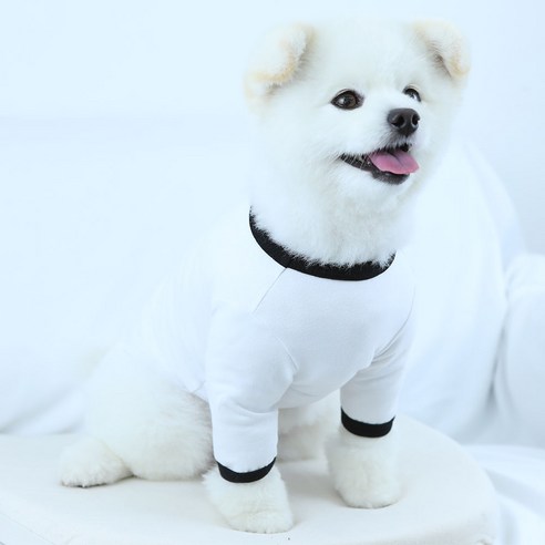 럭키페터 링거 강아지 옷 소형견 대형견 티셔츠 화이트 시리즈, 화이트+블랙, 1개
