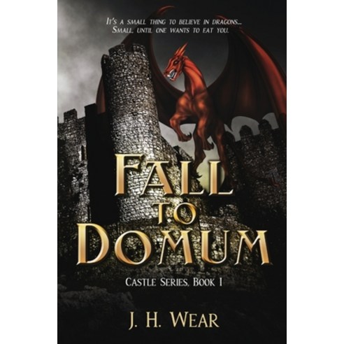 (영문도서) The Fall to Domum Castle Book 1 Paperback, Melange Books, English, 9781680467628