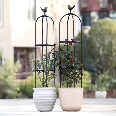 HK.sell 버드돔 화분 지지대 장미 넝쿨 홈가드닝, 블랙, 원지름 25cm/높이 145cm, 1개