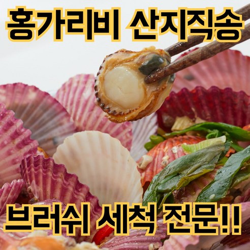 [초초특가] 통영 홍가리비 세척 가리비
