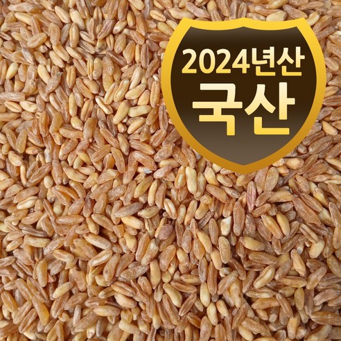 국산 호라산밀 (2024년산) 슈퍼푸드 고대 곡물 통곡물 고대원시곡물, 1개, 500g 카무트 효능