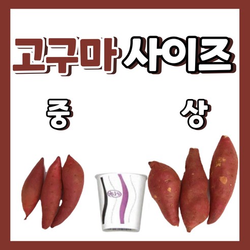 영양가 있고 맛있는 24년 햇 꿀밤고구마로 건강과 즐거움을 만끽하세요!