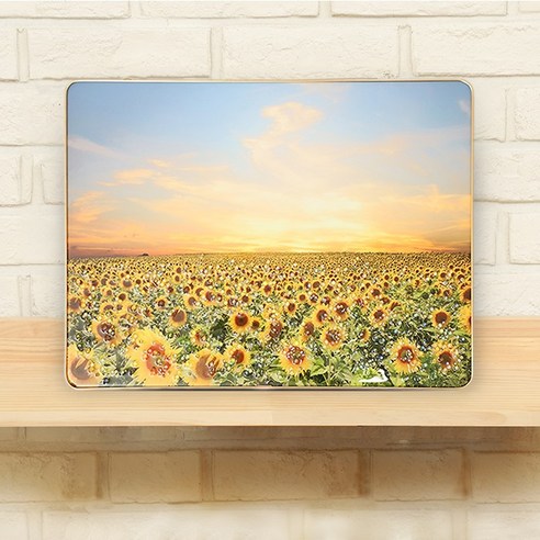 꾸미아트 금전 300x400 풍수인테리어 그림액자, 해바라기C, 해바라기C, 1개