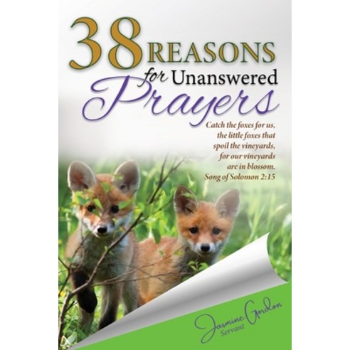 38 Reasons For Unanswered Prayers Paperback, Dominionhouse Publishing & ..., English, 9781735309125