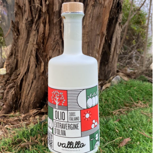 2024 햇올리브오일, 당신의 식탁에 지중해의 햇살을 더하세요!