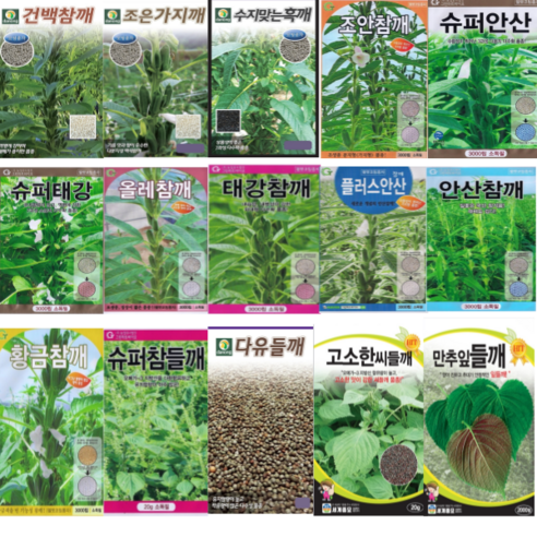 다농 백색 참깨 씨앗 3000립 역병 강한 종자, 9)플러스 안산3000립, 1개 중국참깨 다농 백색 참깨 씨앗 3000립 역병 강한 종자, 9)플러스 안산3000립, 1개 중국참깨