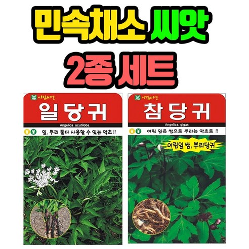 민속채소 씨앗 2봉 (일당귀+참당귀) 종자 씨, 1세트