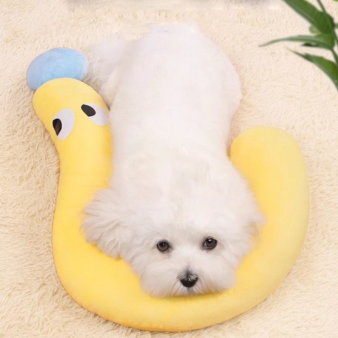 사랑하는 반려동물의 편안한 꿈을 위해