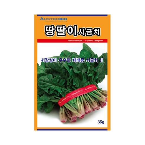 시금치씨앗 땅딸이시금치 35g 재래종 내한성 다수확, 1개