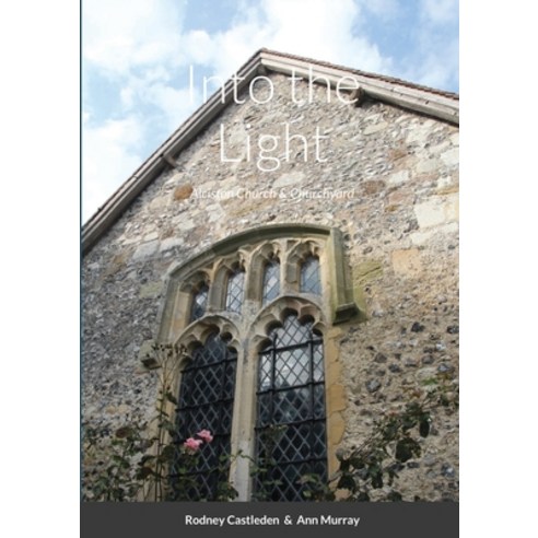 (영문도서) Into the Light Paperback, Lulu.com, English, 9781105770821