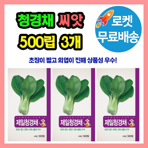 청경채 씨앗 (합 1500립) 종자 씨, 3개