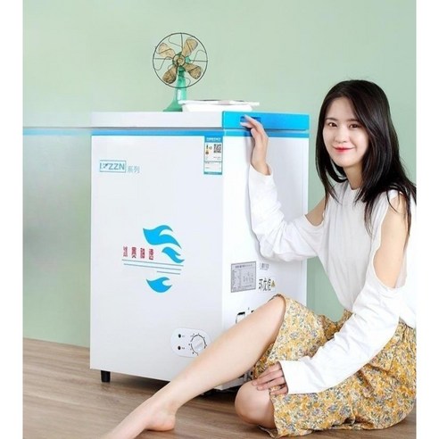 김치냉장고 미니 소형 원룸 김냉 스탠드형 냉동고 술장고 맥주, 스탠다드-76H138