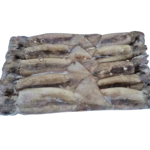 냉동 오징어 통오징어 3kg 8-10미 업소용 식당용, 1개 신진도오징어