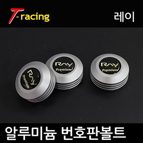 알루미늄 로고 번호판볼트 레이 무광티탄[3개1세트]
