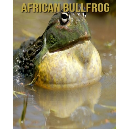 African Bullfrog: Children''s Books --- Fascinating African Bullfrog Facts for Kids with Stunning Pic... Paperback, Independently Published