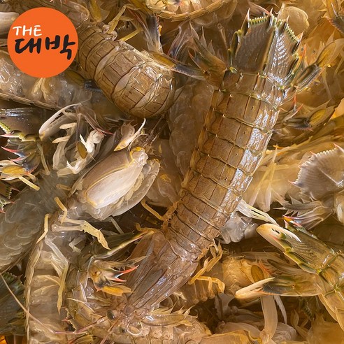 신선한 자연산 활 갯가재로 해산물의 진정한 맛을 즐기세요.