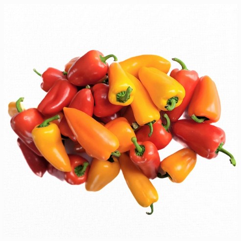 미니 파프리카 혼합, 500g, 1개 미니 파프리카 혼합, 500g, 1개