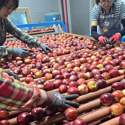 신비로운 첫사랑 맛, 천상당도 신비복숭아!