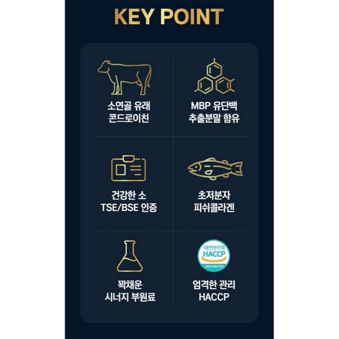 관절 건강을 지키는 최고의 선택