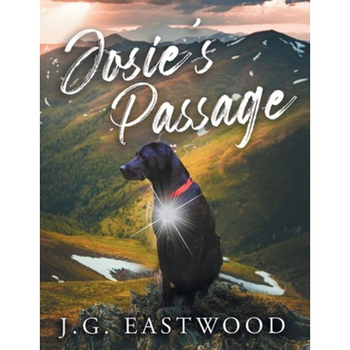 (영문도서) Josie''s Passage Paperback, Authors Press, English, 9781643147147
