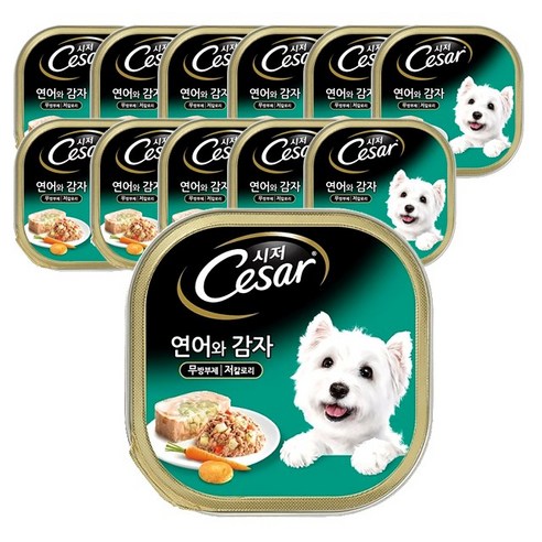 시저 반려견 주식캔 연어와 감자, 100g, 12개입