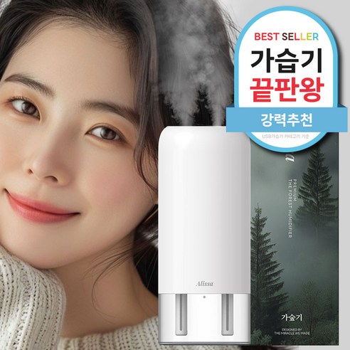 알리사 숲속안개 가습기 미니 초음파 사무용 무선 탁상용 충전식 700ml + 필터 4개, 화이트