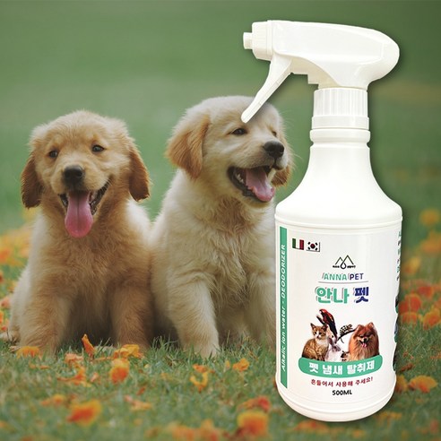 반려견 소변 냄새 제거에 대한 효과적인 솔루션: 안나펫 애완견 탈취제