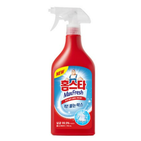 홈스타 착 붙는 락스, 750ml, 2개