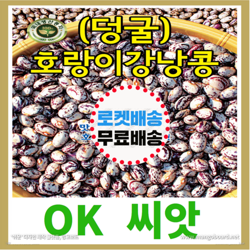 [OK씨앗] [호랑이강낭콩(덩굴)] 강낭콩씨앗 종자(오케이씨앗), 60g