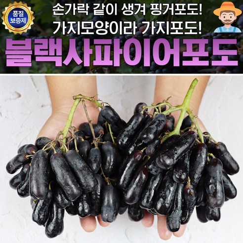 블랙사파이어 포도 1박스 1kg 가지포도, 1개, 블랙 사파이어 포도 1kg