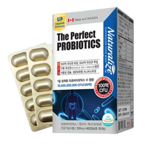 [OKㅣ강추] 다이어트와 장 건강을 위한 필수 보조제 – 락토바실러스 플란타럼 프로바이오틱스 [OKNOWㅣ추천상품]