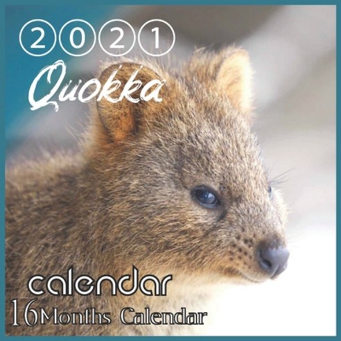 Quokka Calendar 2021: Quokka Australian Animal 