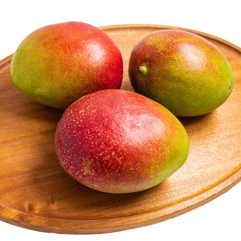 [제주의맛] 최고급 애플망고 산지직송 선물용 가정용, 애플망고 특대과 3kg(7~8과), 1개