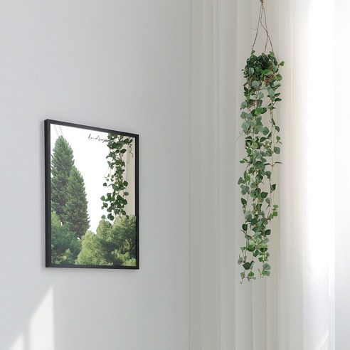 칙칙한 공간을 생기 넘치는 나만의 정원으로 바꿔보세요!