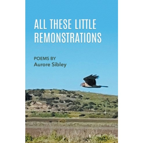(영문도서) All These Little Remonstrations Paperback, Finishing Line Press, English, 9781646626830