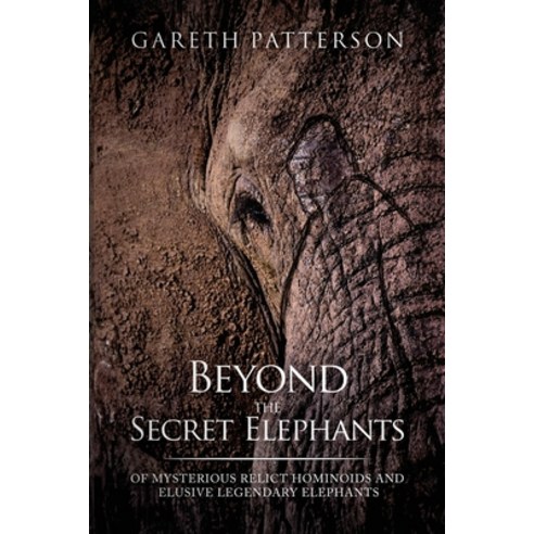 (영문도서) Beyond the Secret Elephants Paperback, Hangar 1 Publishing, English, 9781955471695