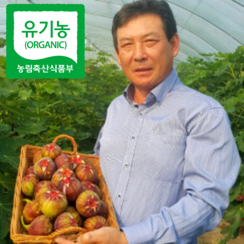 유기농 친환경 영암 생 무화과, 1개, 무화과 1kg