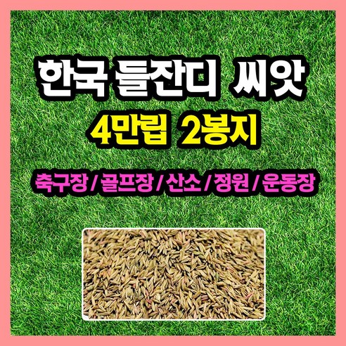 한국들잔디 씨앗 4만립 (중포장) 축구장 골프장 공원 산소 잔듸, 2개